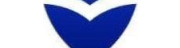 Rayvvin Care