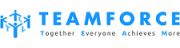 Teamforce Labour Ltd