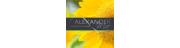 Alexander Mae (Bristol) Ltd