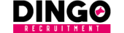 Dingo Recruitment Ltd