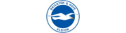 Brighton & Hove Albion Football Club