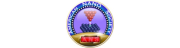 American Nano Society