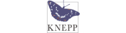 Knepp Swallows Ltd