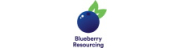 Blueberry Resourcing