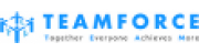 Teamforce Labour Ltd