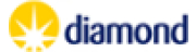 Diamond Light Source