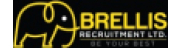 Brellis Recruitment