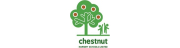 CHESTNUT NURSERY SCHOOL