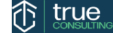 True Consulting Ltd