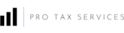 Pro Tax Services