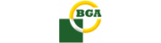 BG Automotive