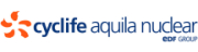 Aquila Nuclear Engineering Ltd