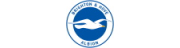 Brighton & Hove Albion Football Club