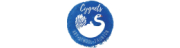 Cygnets Art School