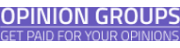Opinion Groups