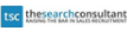 The Search Consultant