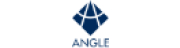 ANGLE plc